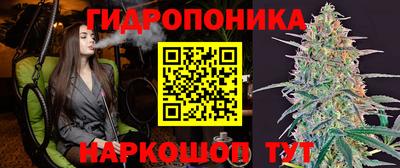 бошки Гусев