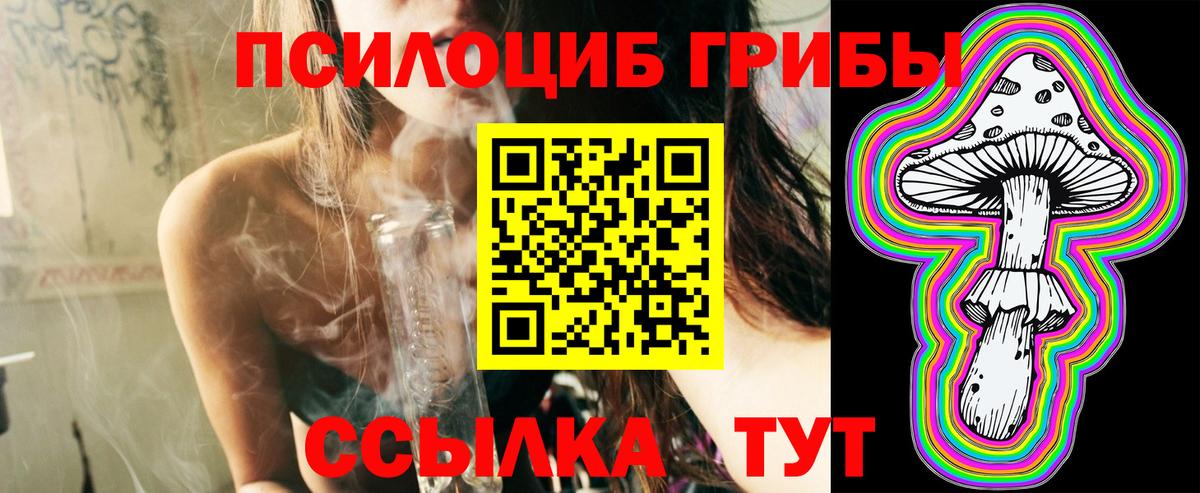 Владимир  Галлюциногенные грибы GOLDEN TEACHER  Псилоцибиновые грибы Psilocybe  Вход с VPN 